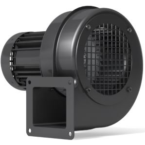 karl-klein-208271-1030