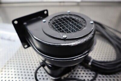 karl-klein-70838-1000