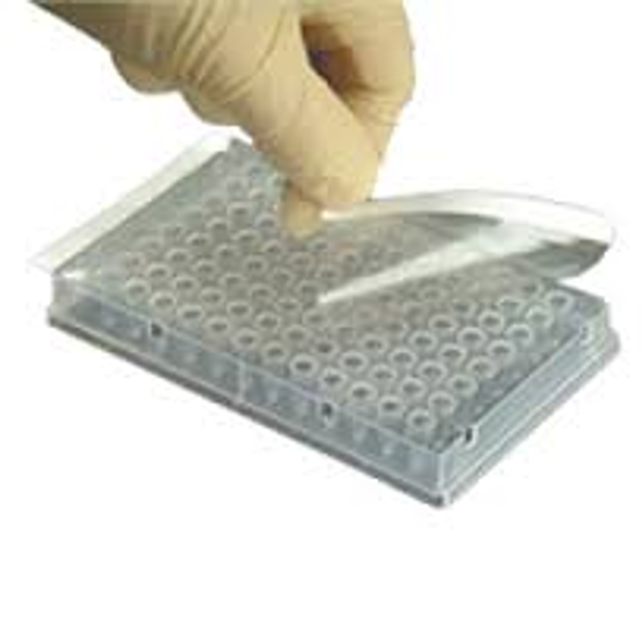 gen-follower-catqpcr96f-1